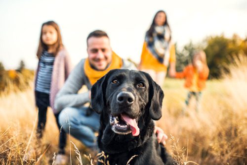 young-family-outdoors-with-dog-in-autumn